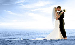 Angel Art Wedding Films - Los Cabos