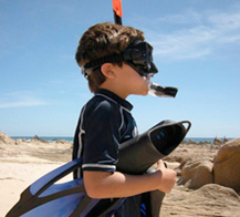 SNORKELING & TURTLE RELEASE: