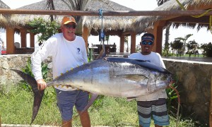Papallito_294Tuna