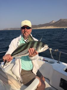 GORDO BANKS PANGAS Fish Report | June 11, 2016