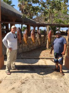 GORDO BANKS PANGAS Fish Report | June 11, 2016