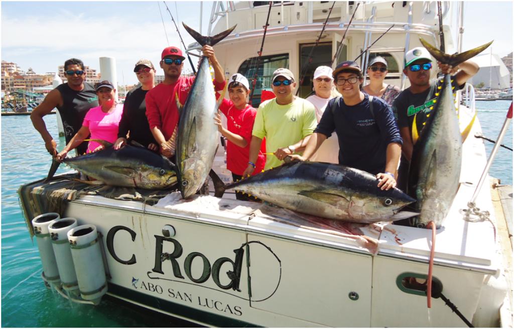 pisces-report-12-08-2016-3