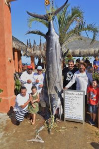 GORDO BANKS PANGAS Fish Report | October 21, 2016 GORDO BANKS PANGAS Fish Report | October 21, 2016