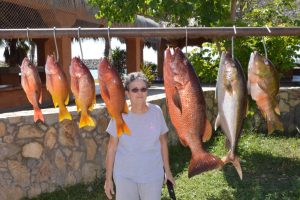 Gordo Banks Pangas Fish Report October 28 2016