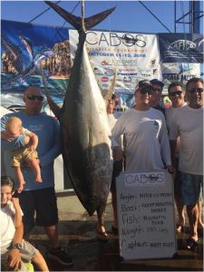 pisces-fish-report-october-8th-to-14th-2016-1