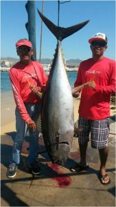 pisces-fish-report-october-8th-to-14th-2016-3