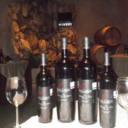 Los Cabos Winery & Restaurant Special Promo!