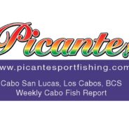 Picante – Fish Report, February 8, 2014