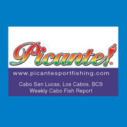 Picante Sportfishing – Fish Report, May 2nd, 2014