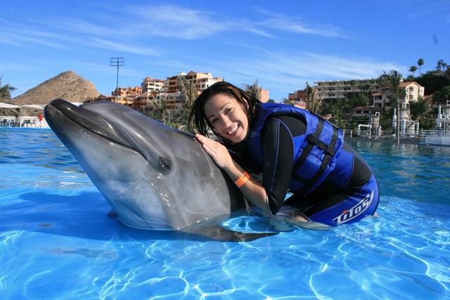 Cabo Dolphins - Swim with Dolphins - Cabo San Lucas, Los Cabos, Mexico