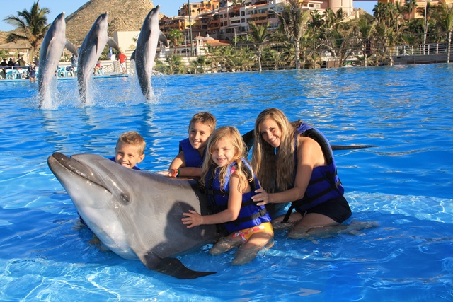 Cabo Dolphins - Swim with Dolphins - Cabo San Lucas, Los Cabos, Mexico
