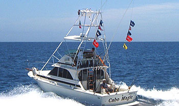 cabo magic cruiser