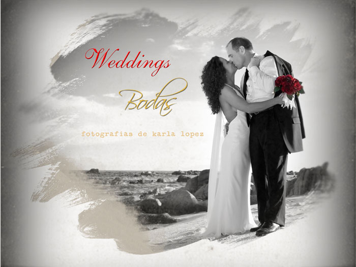 Wedding Photographer - Los Cabos