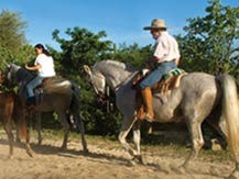 horseback riding tours at desertica los cabos - multi-adventure park