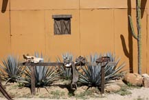 old western ghost town - desertica los cabos - multi-adventure park 