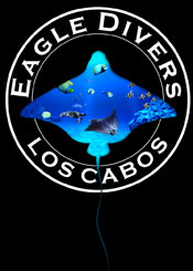 Eagle Divers - Los Cabos