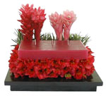 Elena Damy Comtemporary Floral Design Floral Arrangements Los Cabos