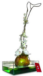 Elena Damy Comtemporary Floral Design Creations