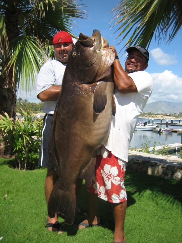 cruises - Baja California Sur