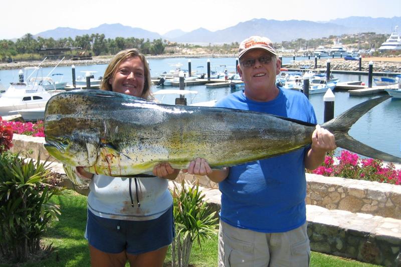 Gordo Banks Pangas - San Jose del Cabo
