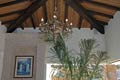 A palm tree is growing in the living area - Recyclyed wood used for ceiling - Green Homes of Cabo San Lucas