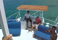 adult xxx bozze cruise
