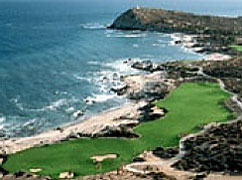 Julie Kershner - Real Estate Agent - San Jose del Cabo