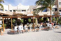 Mango Cantina - Cabo San Lucas