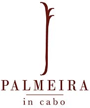 Palmeira In Cabo - Los Cabos