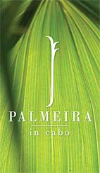 Palmeira In Cabo - Cabo San Lucas
