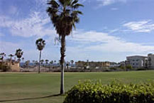 Peninsula Condominiums - Golf Course