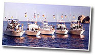 The Fleet