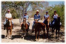 HORSES 1
