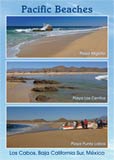 pacific beaches - cabo san lucas, los cabos, mexico