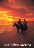 Los Cabos by Horseback