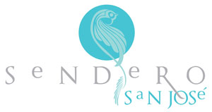Sendero San Jose - San Jose del Cabo, Los Cabos, Mexico