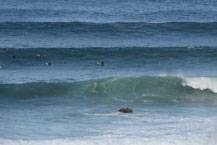 Surf in Cabo - Surf Tours and Trips in San Jose del Cabo, Los Cabos, Mexico 
