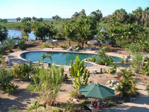 swimming pool - posada la poza todos santos