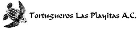 Tortugueros Las Playitas A.C. - Todos Santos, Baja California Sur, Mexico 