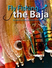 Viva Baja Magazine - Fly Fishing the Baja - pg 15 - Fall 2012