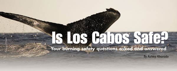 Is Los Cabos Safe? - Your burning safety questions asked and answered.