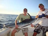 Bad Medicine Sportfishing - Cabo San Lucas, Los Cabos, Mexico