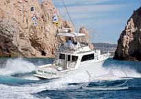 Bad Medicine Sportfishing - Cabo San Lucas, Los Cabos, Mexico