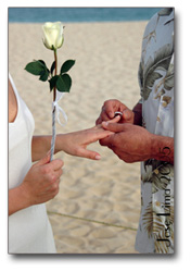 Baja Image Bank Baja Wedding Photographer