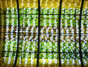 Ramuri Cerveza - Mexican craft beer, downtown Cabo San Lucas.