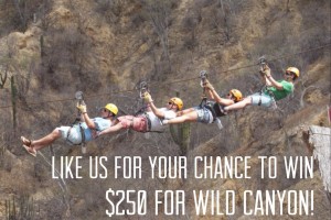 Win $250 worth of vouchers for Wild Canyon! 