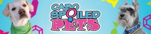 cabo-spoiled-pets