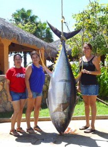 367-lb-Tuna-Gordo-Banks-Pangas