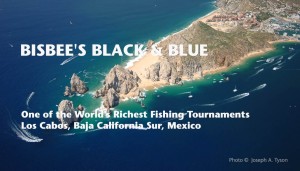 bisbees-black-blue-2013c