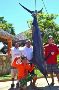 Gordo Banks Pangas - Piki - 312 pound blue marlin